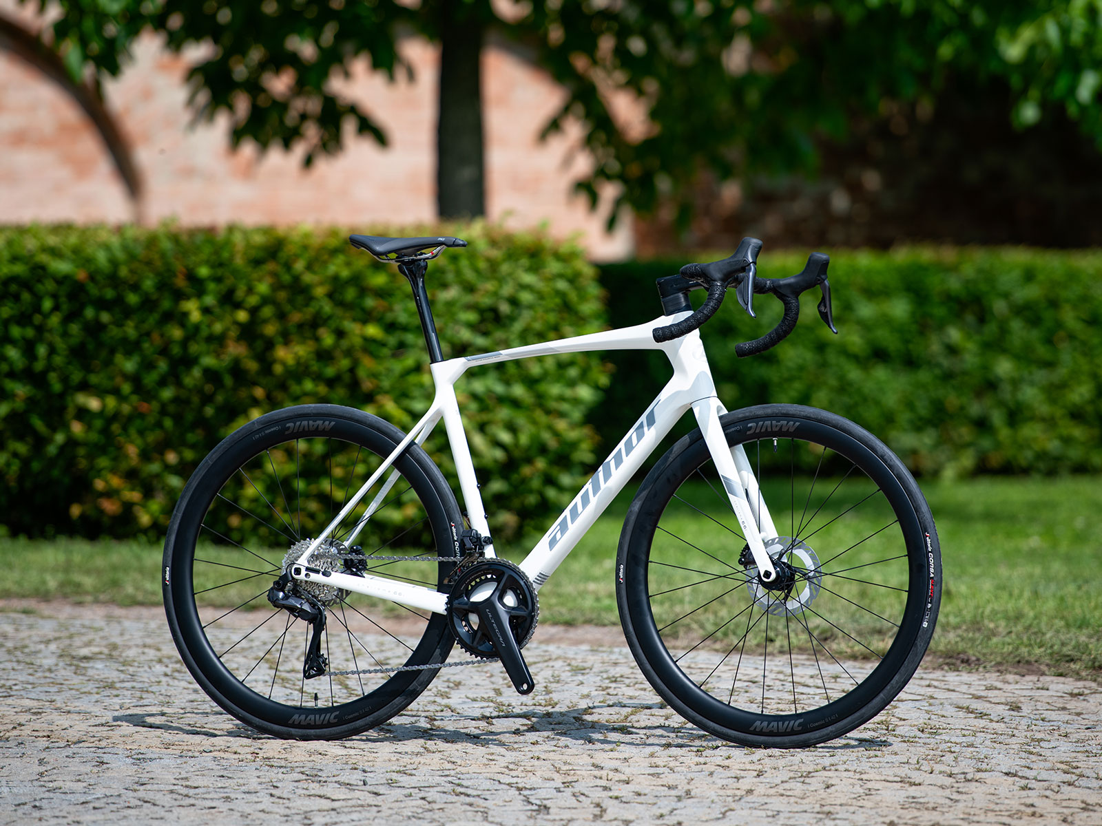 Charisma 66i - foto