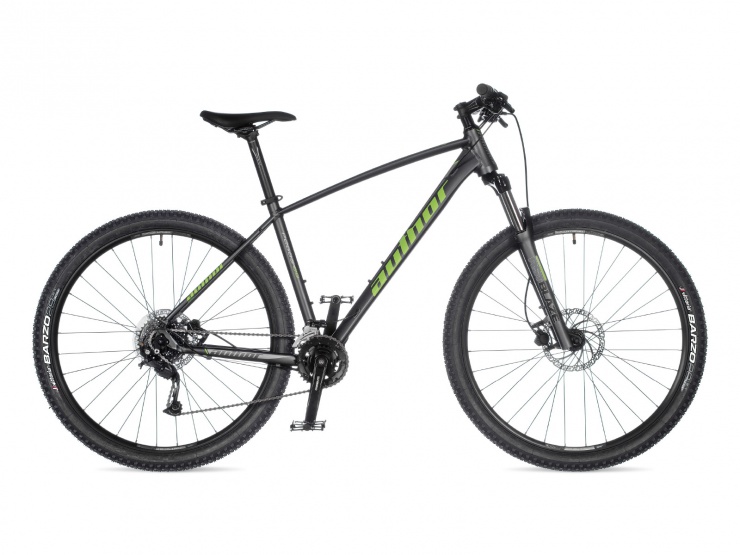 Pegas 29 2023-24