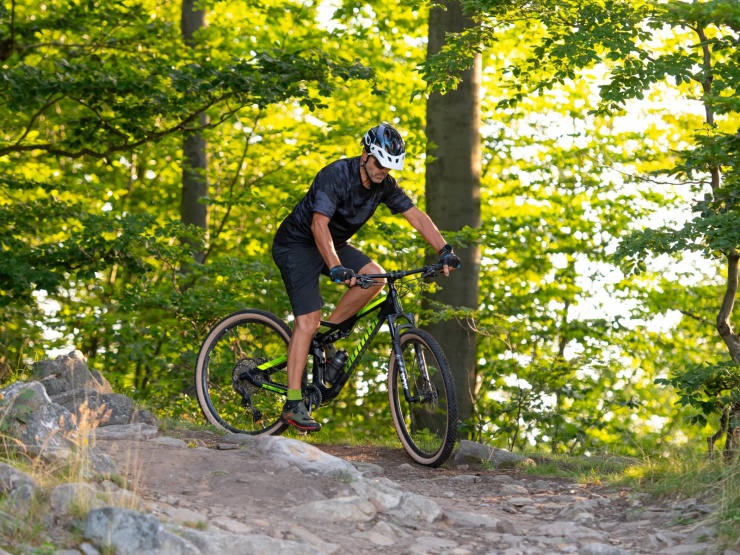 a-ray29team 02 viewde