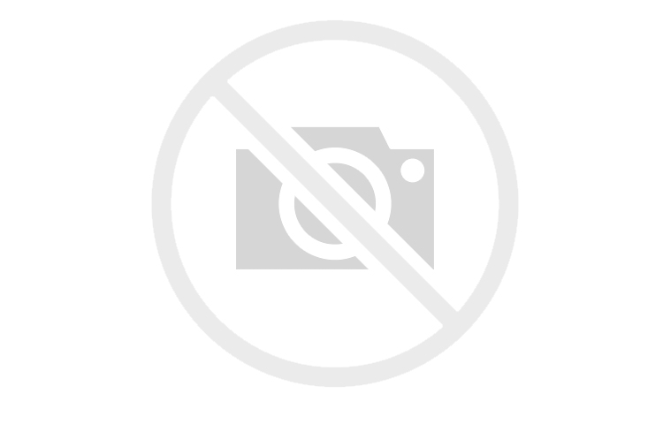 Ultrasonic 24 2025