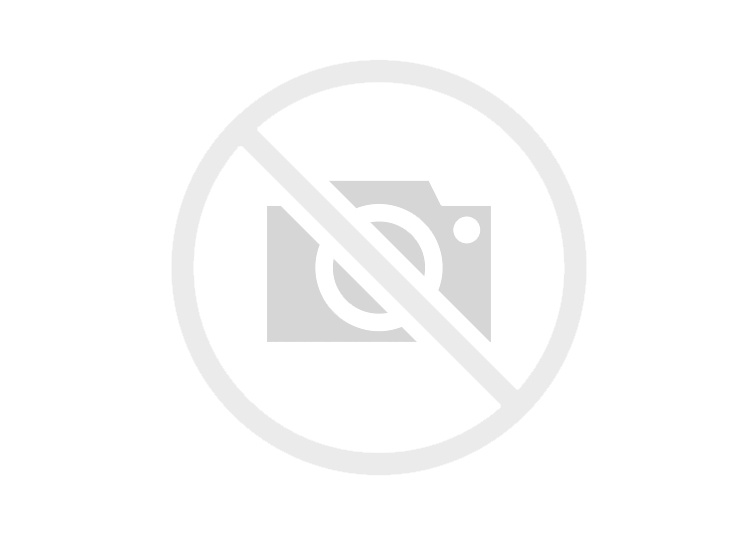 Ultrasonic 24 2025