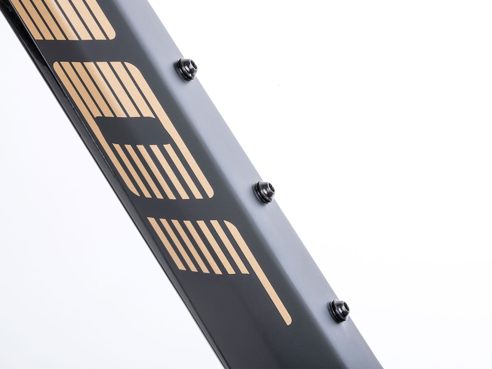 A-Ray Team detail 25